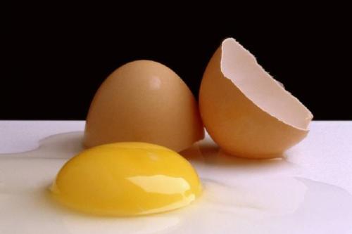 egg - egg detail photo