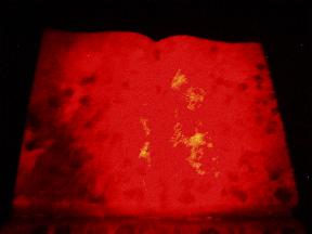 Bible atop tombstone, nightvision - Acually taken under red light, so not technically'night vison'. The old creases and moss-stained stonework provide alot of interest with the unique lighting. I love cemetery photography and relatively rare headstones. This was just a step further in photography experimentation.