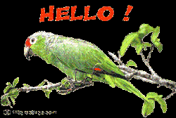 Hello - My dear Parrot would say hello to everybody on behalf of me.