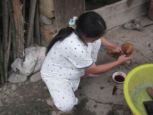 ready-be mother - She has been in pregnancy for over 7 months, but she is doing all housewife jobs. 