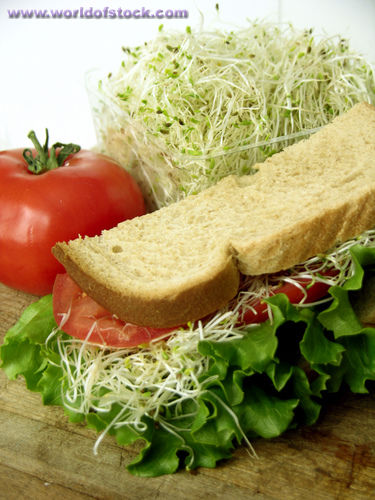 Eat your veggies! - Mmmm yummy looking sandwich with sprouts