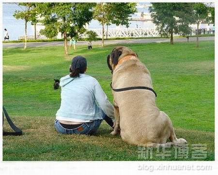 am i small dog - this pictures my friend send to me