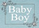 baby shower - baby boy baby shower - baby boy