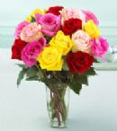 Some flowers for a friend - Some flowers to cheer my dear friend up, with her being so upset.xx