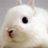 hello - It is good to see.....