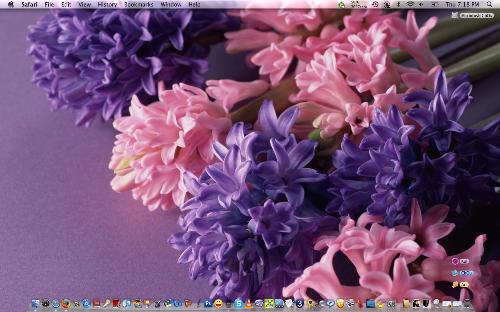 desktop wallpaper  - flowers 