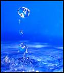 Beautiful Water Drops - I love to see transparent and beautiful water drops.