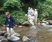 Ecotourism Safaris Tanzania - Ecotourism safaris Tanzania