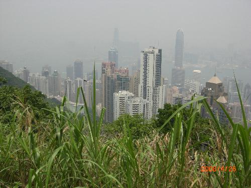 Hong Kong seen from the mountain - It is the buildings seen from mountain.