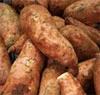 sweet potatoes - God gave us clues to cure diabetes