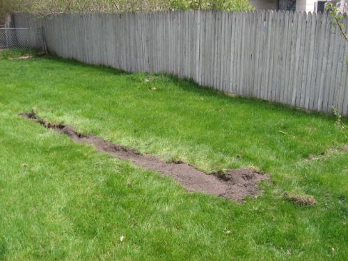 New veggie area - This is plot that I am planning on for veggies of all sorts