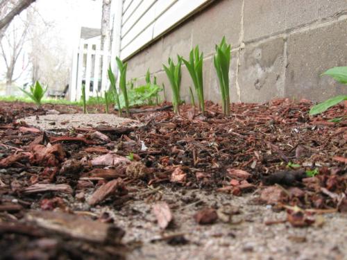 Worms Eye View - I loved this shot
