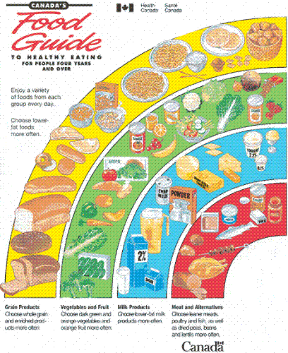 Food Guide - Canada Food Guide to Healthy Eating