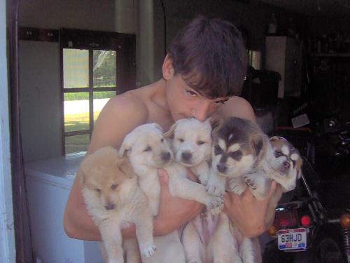 Puppies that needed a home - Another set of puppies that I had to rehome.