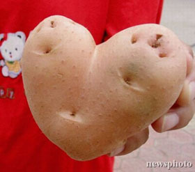 potato - potato I don't know how ~~~