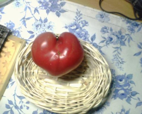 tomato - just like that potato~~~