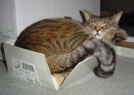 She wasn't smart enough to know she didn't fit in  - Bailey