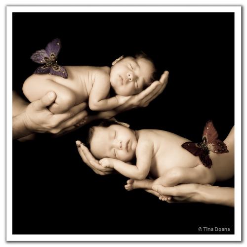 we are one - we are the branches of same tree we are one