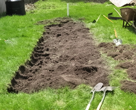getting There - Little by little it is taking shape. Lots of work doing it all by hand without a tiller etc.