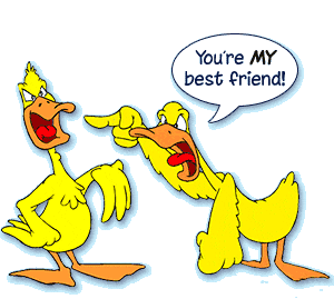 ducks.. - ducks talking...yellow ducks!