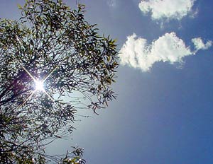 The sun's out - The sun's out high in the sky, are you enjoying it?