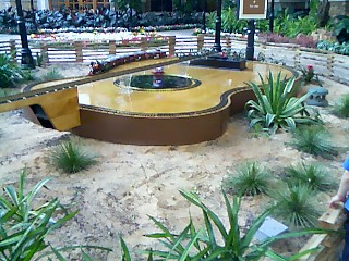 Guitar Train - Here is a train set that goes around a guitar. My nephew and niece really enjoyed watching the train go around the guitar. I have not seen anything like it. There was a couple other train sets in the facility as well which the kids enjoyed.