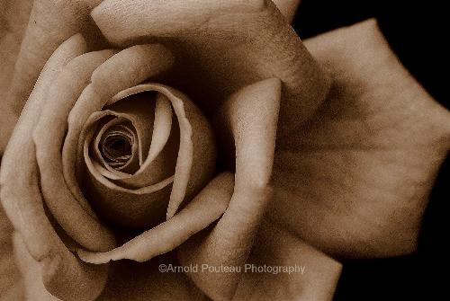 wallpaper - wallpaper for desktop symbol of love