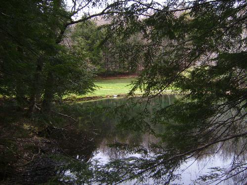 Nature - The beauty of Nature