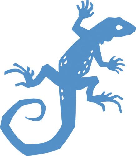 lizard - lizard enjoying a bath.