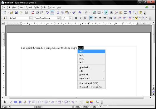 Open Office Write - Open Office Write program that works just like MS Office Word.