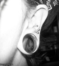 Ear Gauge - This is one of the least awful pictures I could find of a gauged ear.