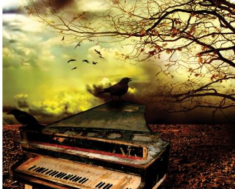 Piano - A old piano with a bird sadly singing to a uncommon sky.