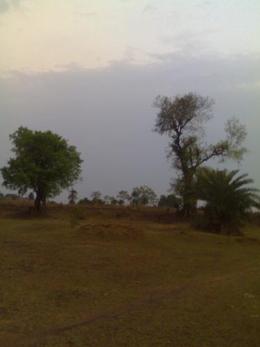 nature around me - Nature helps me write... its like a friend.