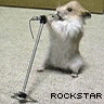 and now a moment from our sponsers - lil hamster humor here