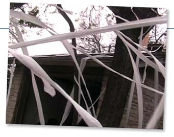 Toilet papering - Teenage prank Toilet papering - Teenage prank