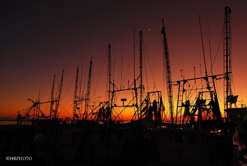 boats - just something to look at and enjoy like....period!
