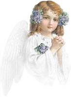 Angel Photo Collection - These are Blueberry's angel photo collections..Enjoy!!