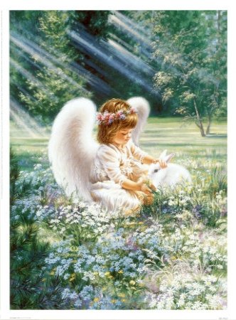 Angel Photo Collection - another angel photo