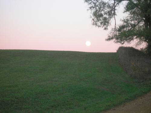 moon, full moon, round moon, moonlight, moon in tr - moon, full moon, round moon, moonlight, moon in trees, moon on lake