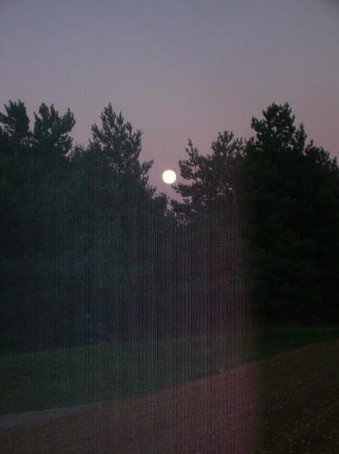 moon, full moon, round moon, moonlight, moon in tr - moon, full moon, round moon, moonlight, moon in trees, moon on lake