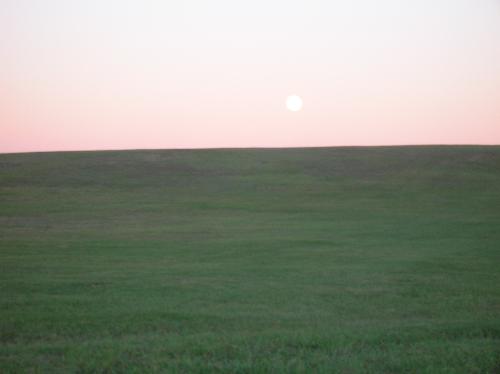 moon, full moon, round moon, moonlight, moon in tr - moon, full moon, round moon, moonlight, moon in trees, moon on lake
