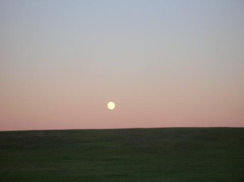 moon, full moon, round moon, moonlight, moon in tr - moon, full moon, round moon, moonlight, moon in trees, moon on lake
