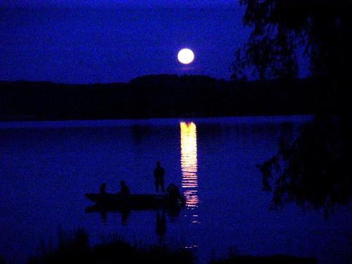 moon, full moon, round moon, moonlight, moon in tr - moon, full moon, round moon, moonlight, moon in trees, moon on lake