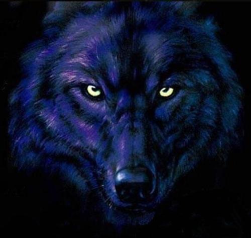 dark wolf - There are many sides to the wolf, it can SEEM dark but it protective and very territorial. And loyal to its mate and the pack.