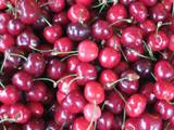 Cherries - Nice big bunch of cherries