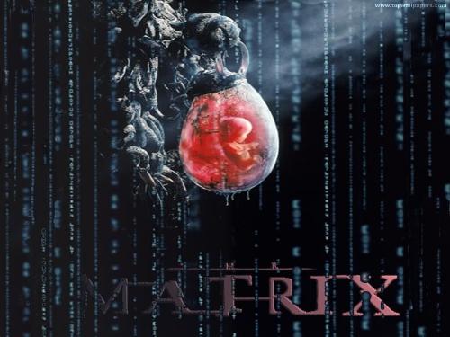 Matrix - A picture of Matrix