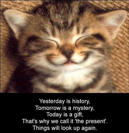 kitten smiling - i love kittens:)