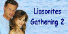 Liason Banner - Jason and Liz Beach Banner