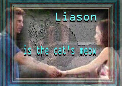 Liason Banner - Liason are the cat's meow!