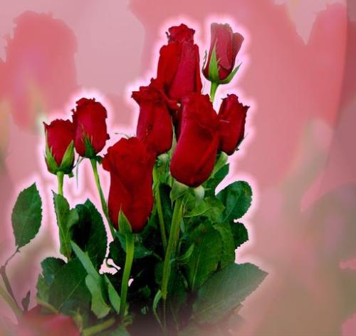 Its the sign of love,,,, red roses - Its a bunch of flowers.. that represents love,,,,,,